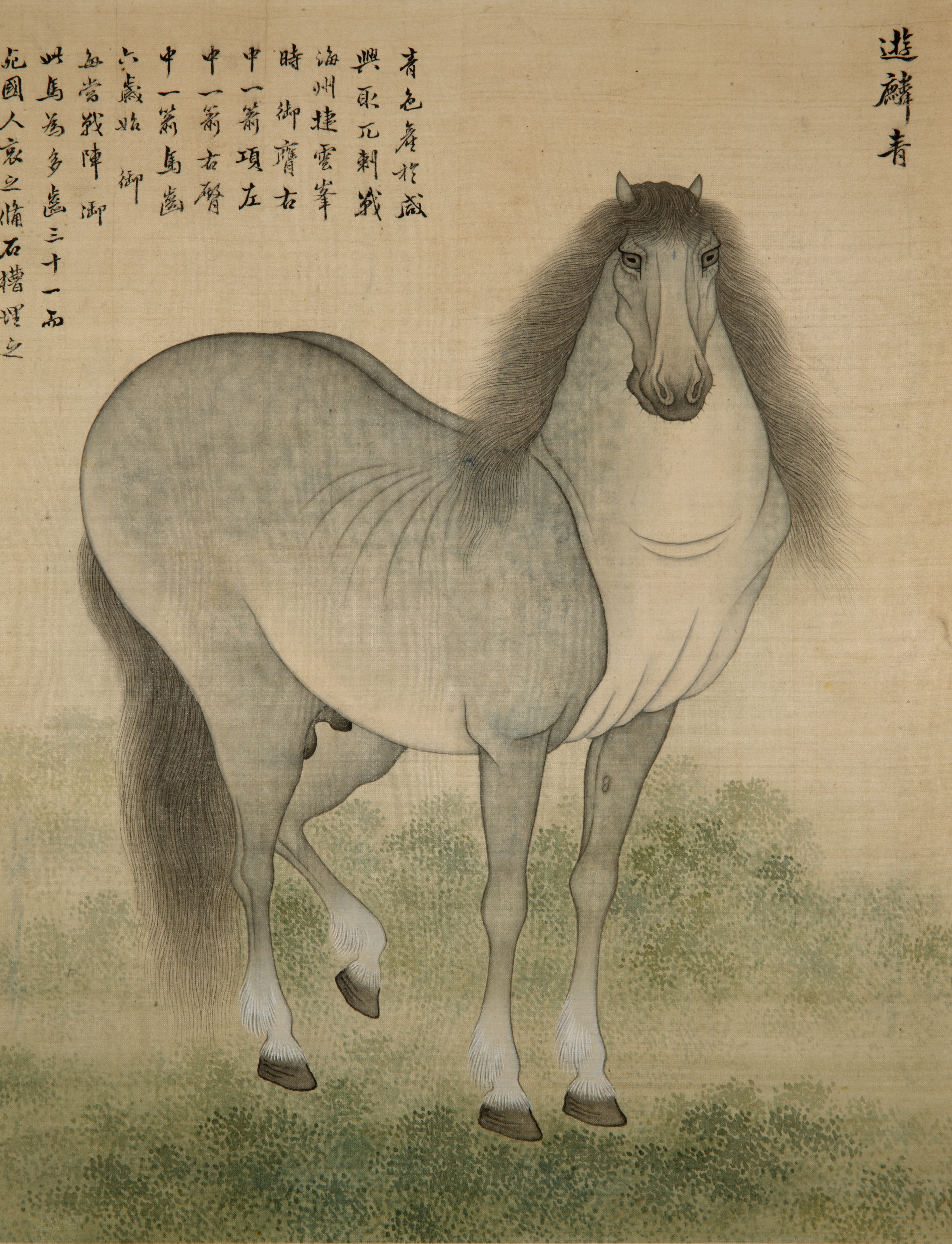 韓国の馬 이미지