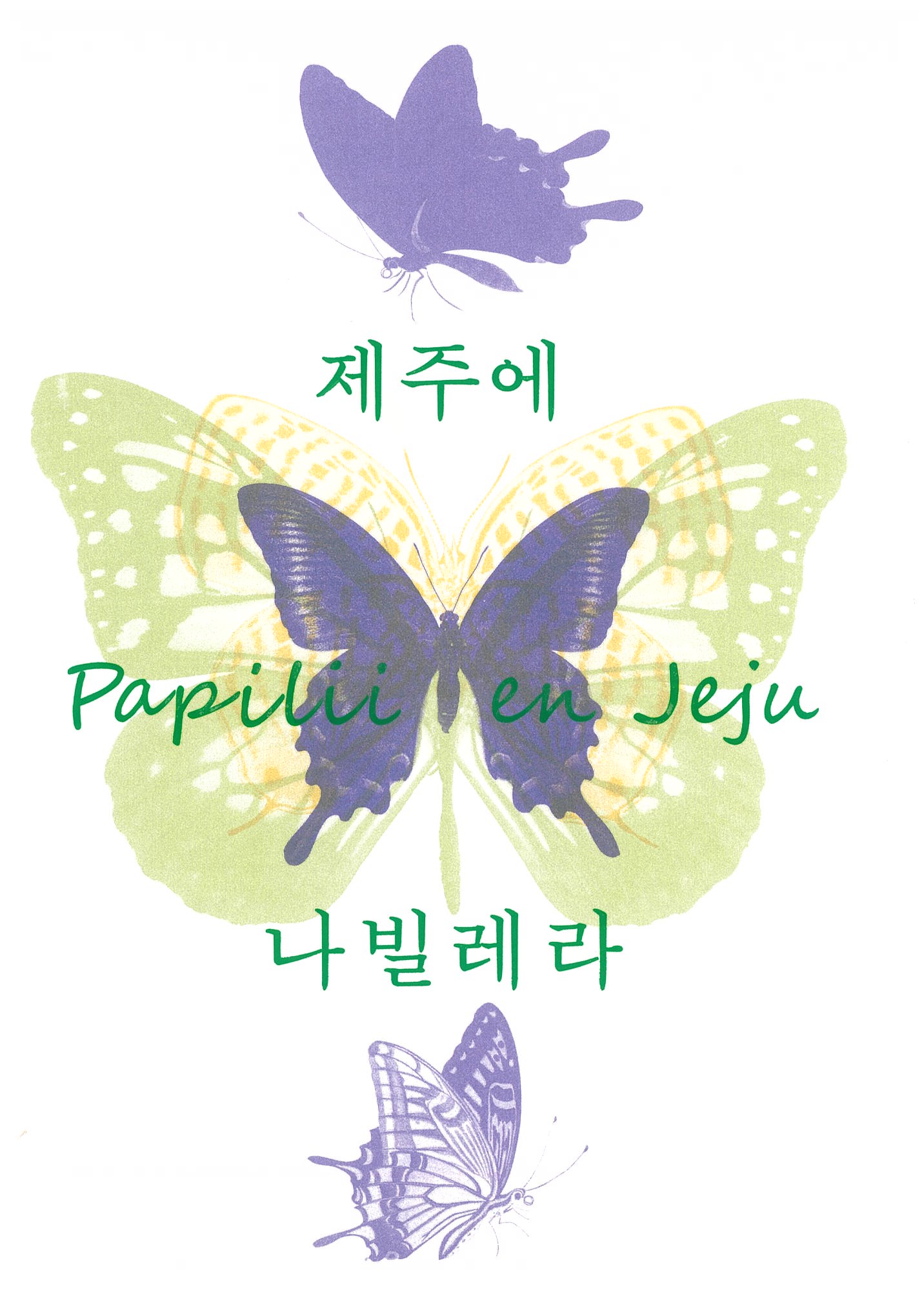 제주에 나빌레라